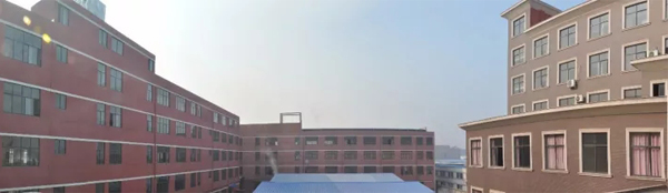 双洋红木外景图