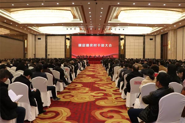 横店镇农村干部大会