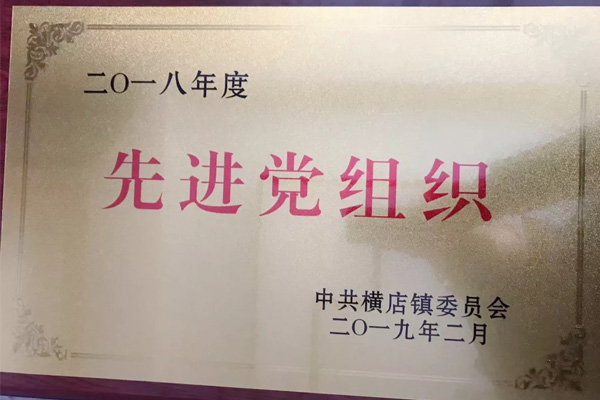 双洋红木荣获“2018年度先进党组织”称号